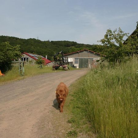 Rech Hof Urlaub Auf Dem Bauernhof Leilighet Schalkenbach Eksteriør bilde