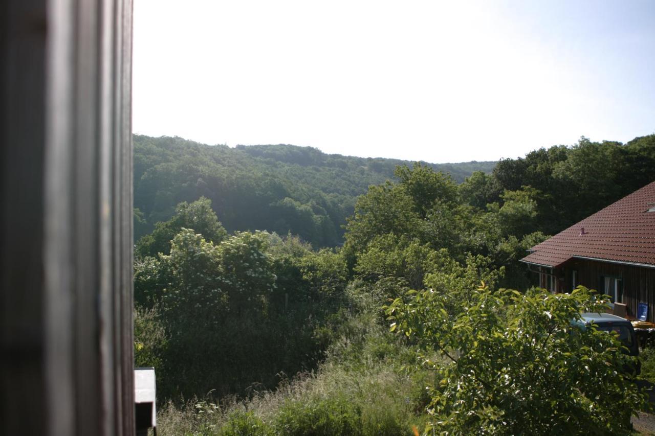 Rech Hof Urlaub Auf Dem Bauernhof Leilighet Schalkenbach Eksteriør bilde