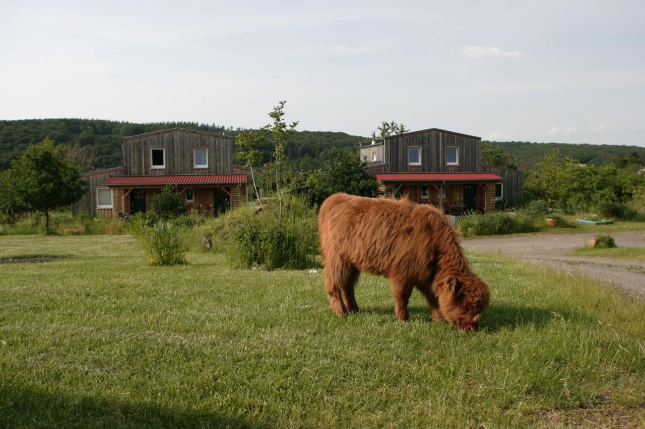 Rech Hof Urlaub Auf Dem Bauernhof Leilighet Schalkenbach Eksteriør bilde