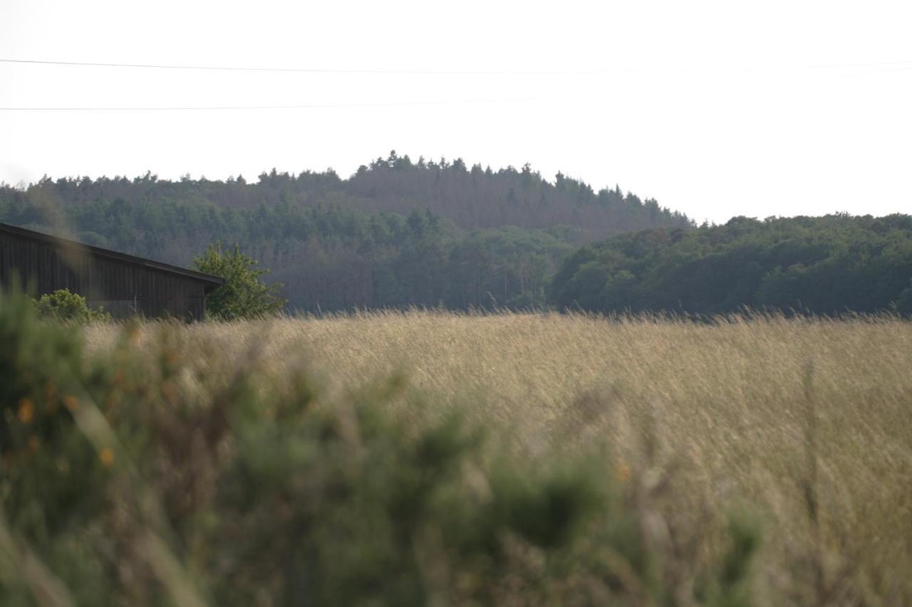 Rech Hof Urlaub Auf Dem Bauernhof Leilighet Schalkenbach Eksteriør bilde