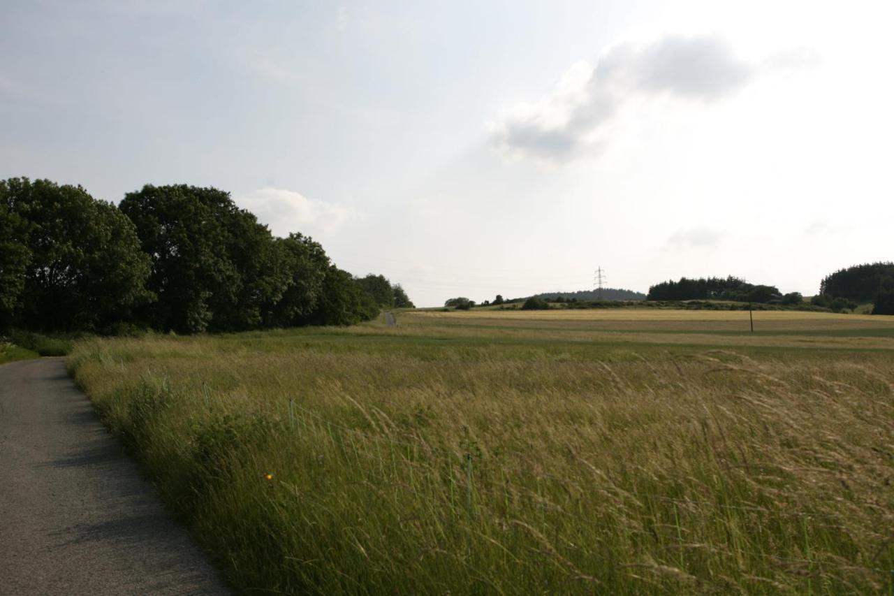 Rech Hof Urlaub Auf Dem Bauernhof Leilighet Schalkenbach Eksteriør bilde