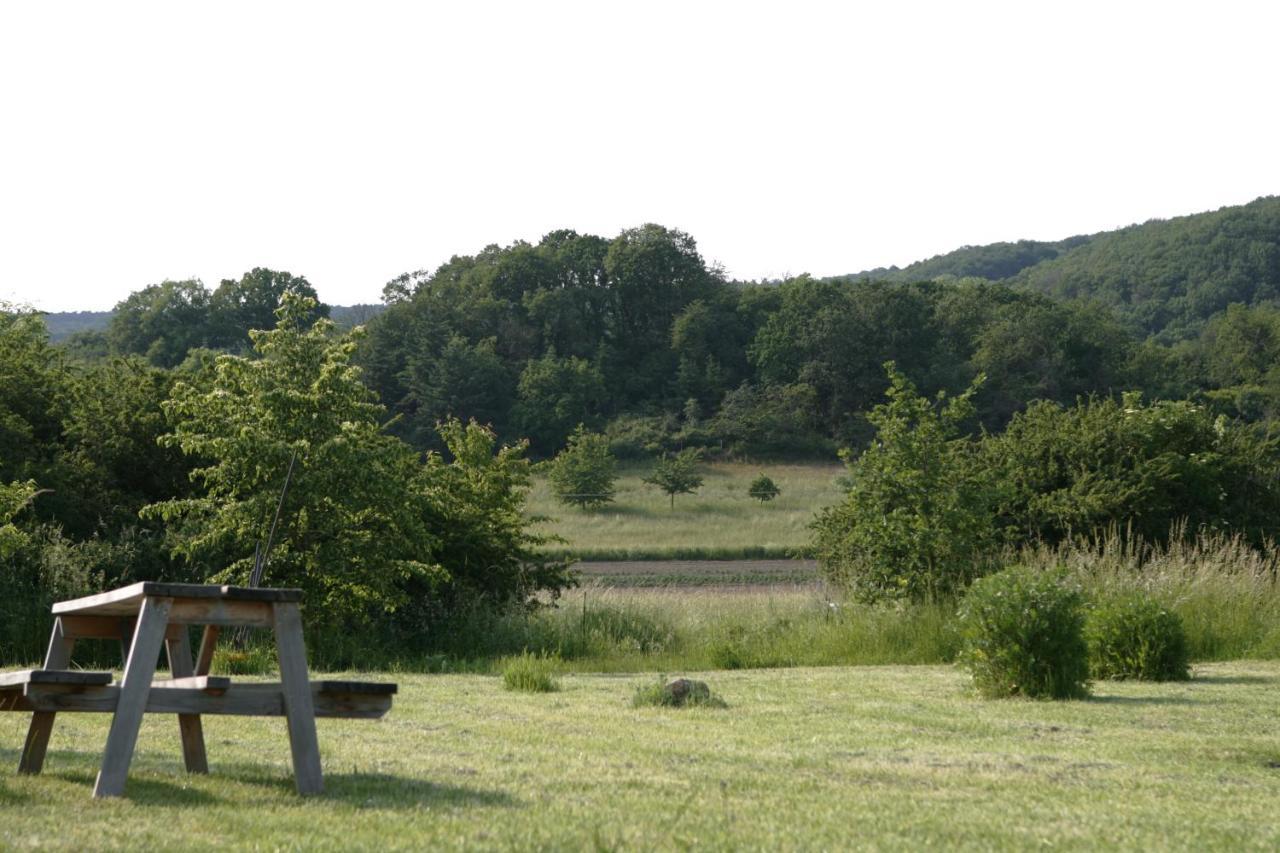 Rech Hof Urlaub Auf Dem Bauernhof Leilighet Schalkenbach Eksteriør bilde