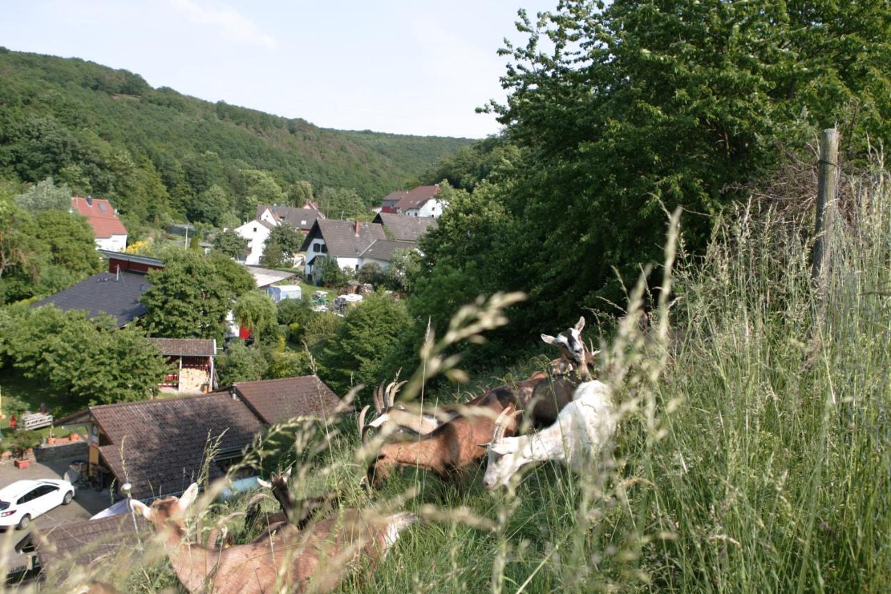 Rech Hof Urlaub Auf Dem Bauernhof Leilighet Schalkenbach Eksteriør bilde
